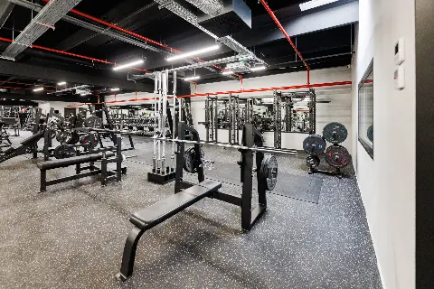 Legacy Gym Kukuljanovo — fotografija 44